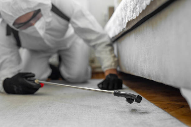 Professional Termite Control technician working in Saguache County County, CO